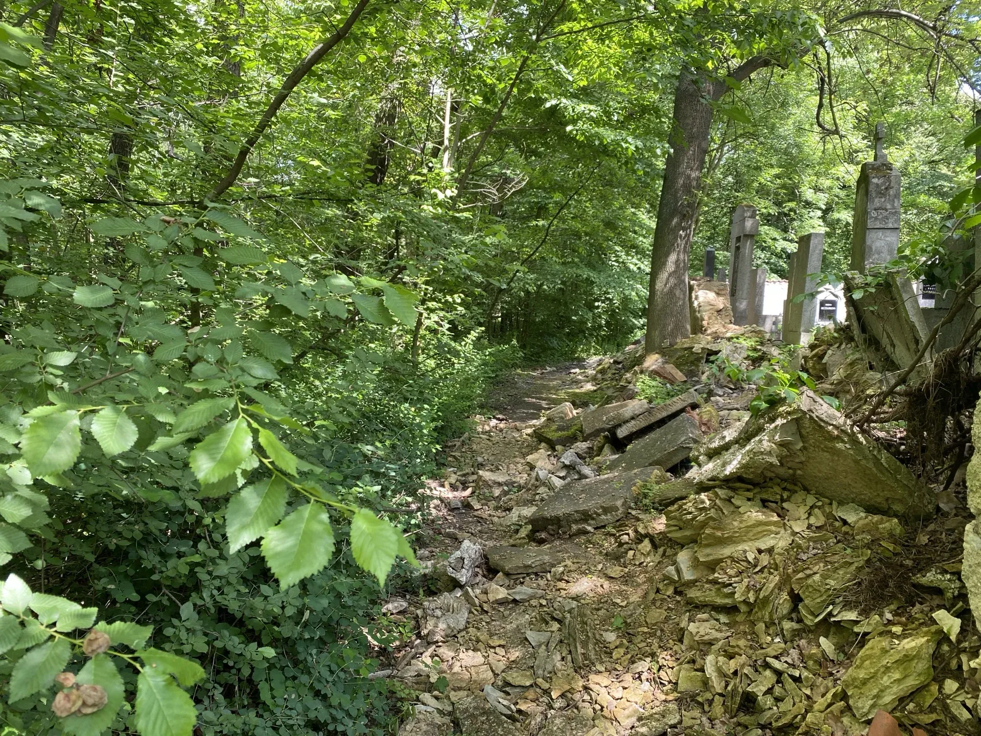 Josef Pleskot, modernizace trati, oprava hřbitovní zdi a zapomenuté sochy… - Kladno